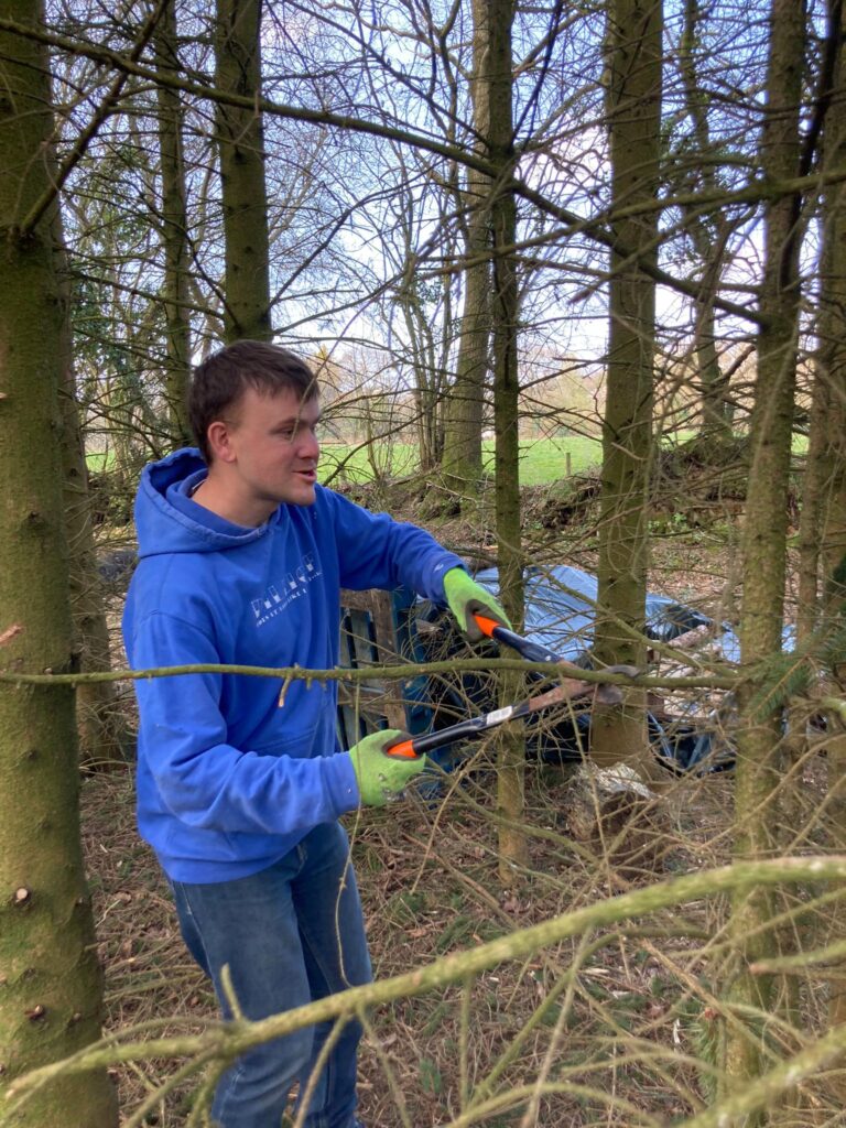 Young man in blue hoody smiling as he uses shears to cut a tree