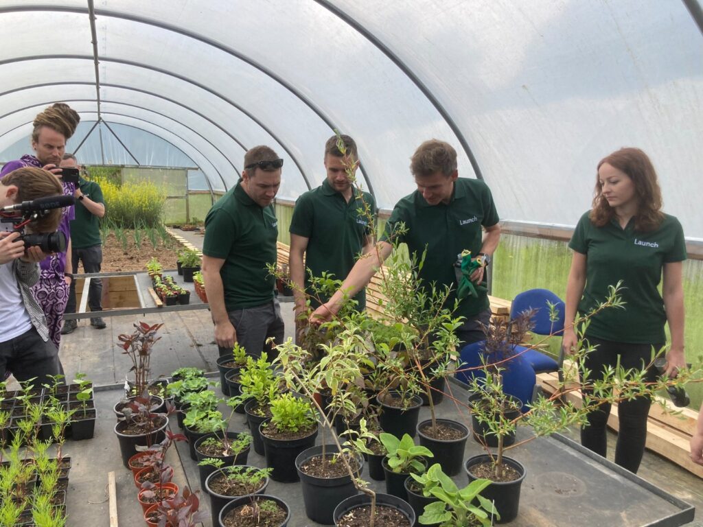 Group of people in green Launch tshirts inspect herbs inside a polytunnel