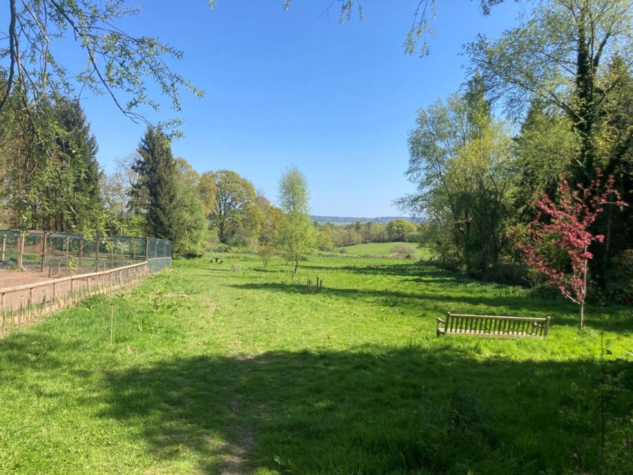 View of a large meadow with kitchen garden enclosure to the left, and bright blue sky above
