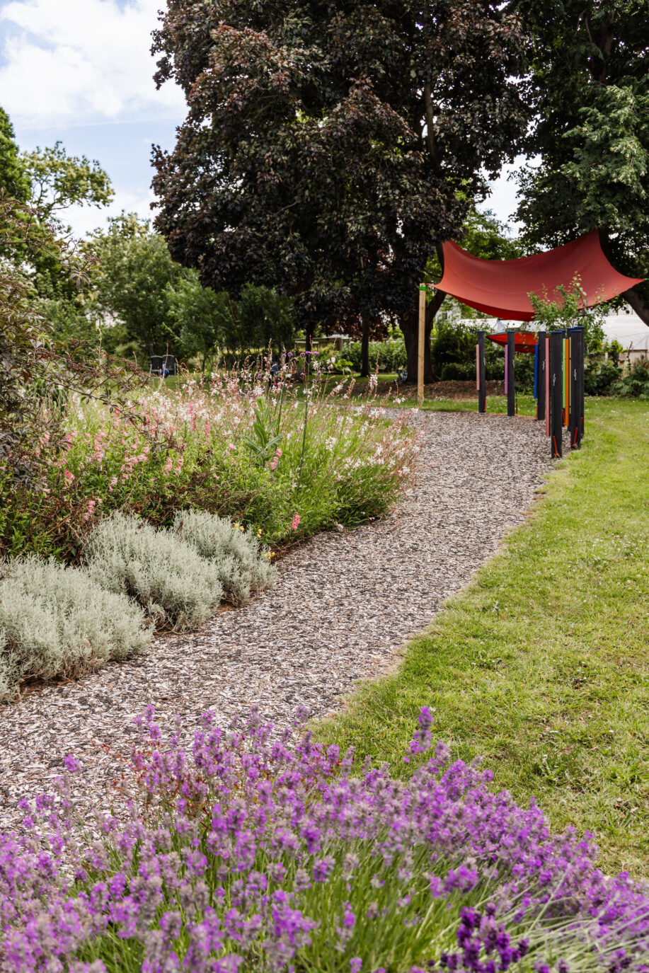Infocus Exeter How do our gardens grow? - InFocus Charity, Exeter
