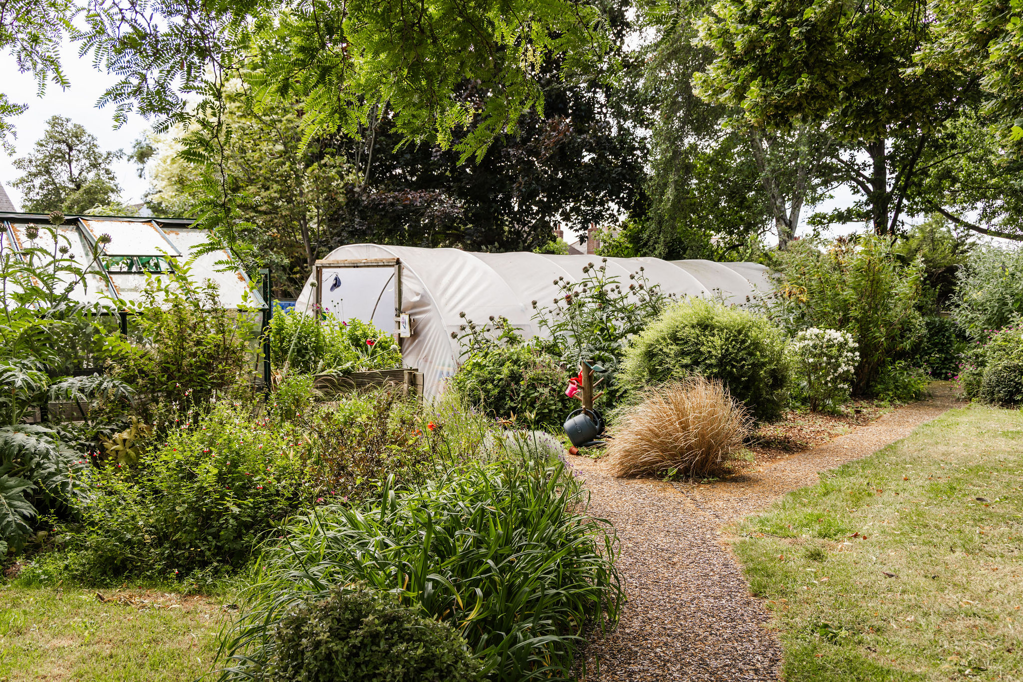 Infocus Exeter How do our gardens grow? - InFocus Charity, Exeter
